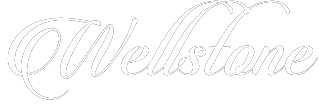 wellstone-shop.de