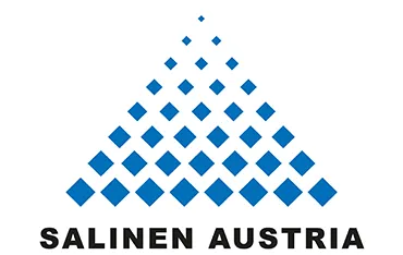 salinen.com