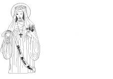 divera.org