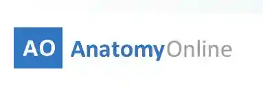 anatomy-online.com