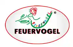 feuervogel-geesthacht.de