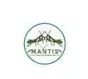 mantis-concept.de