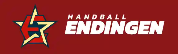 shop.handball-endingen.ch