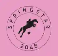 springstar.de