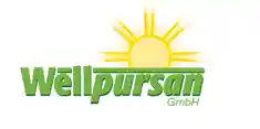 wellpursan.com